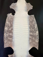 Load image into Gallery viewer, Crocodile Nile Natural Himalayan Millennium Semi Lucido by G.P.P.