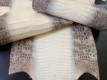 Load image into Gallery viewer, Crocodile Nile Natural Himalayan Millennium Semi Lucido by G.P.P.
