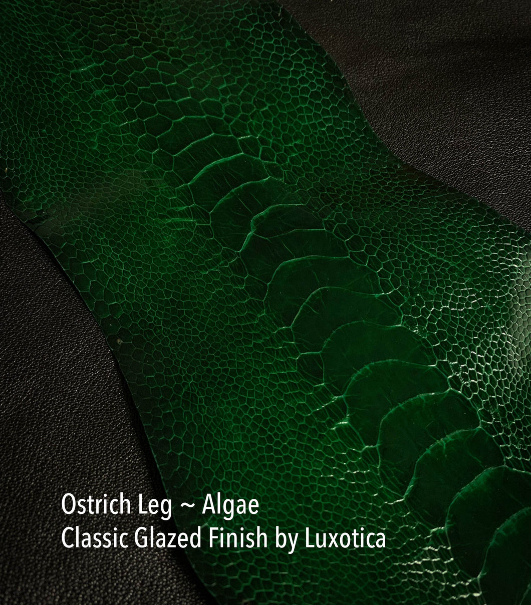 Ostrich Leg Classic Glazed by Luxotica - Colors