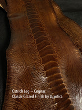 Load image into Gallery viewer, Ostrich Leg Classic Glazed by Luxotica - Colors