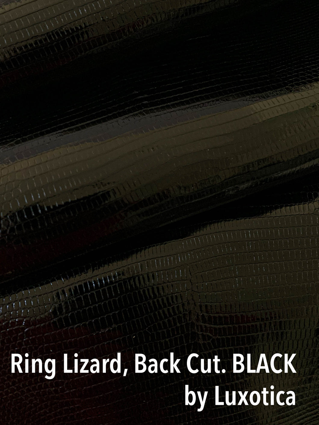 Ring Lizard Back Cut Classic Glazed ~ BLACK