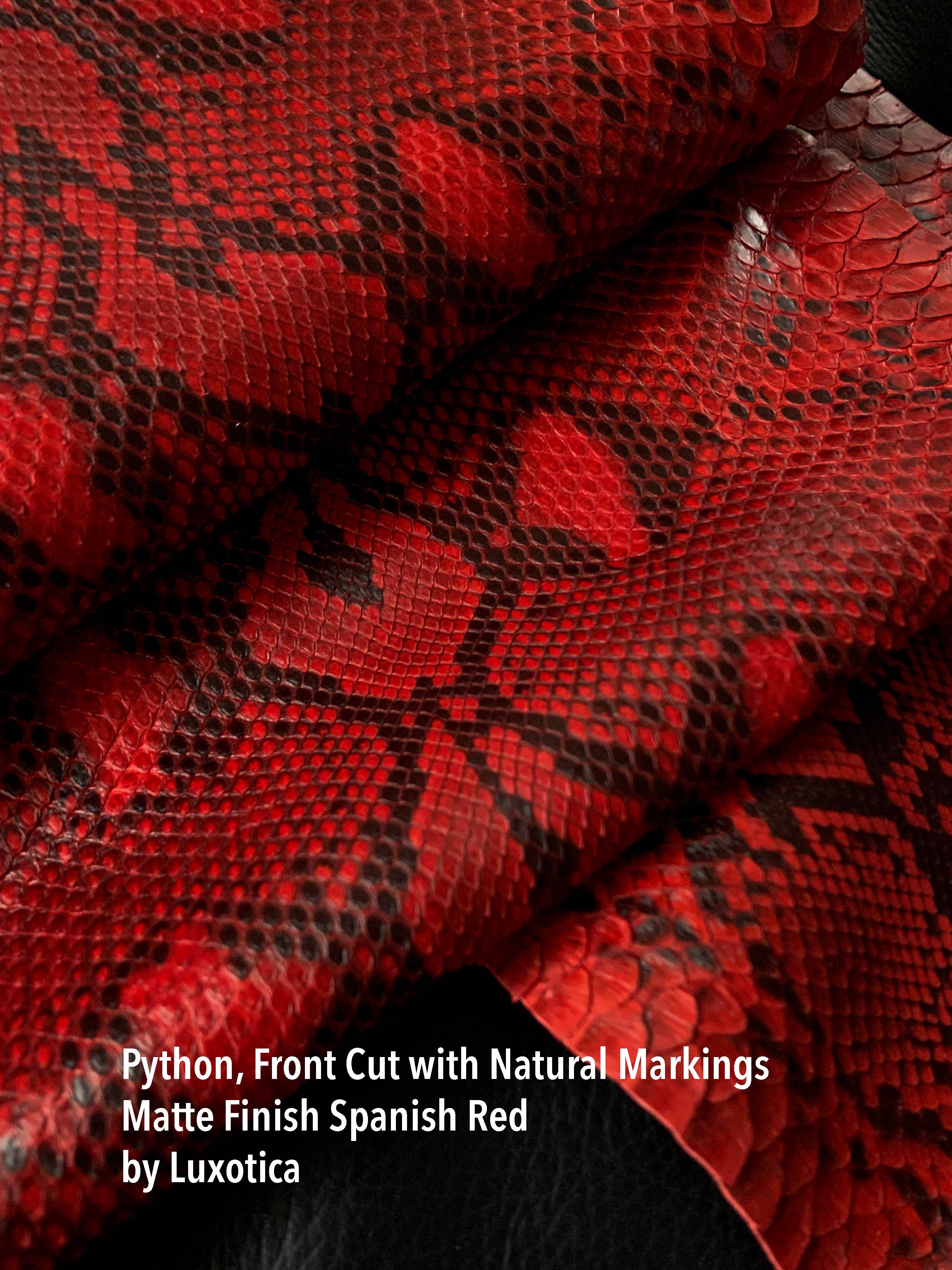 Python Front Cut Matte Finish Spanish Red – Hardtke Leather Co.