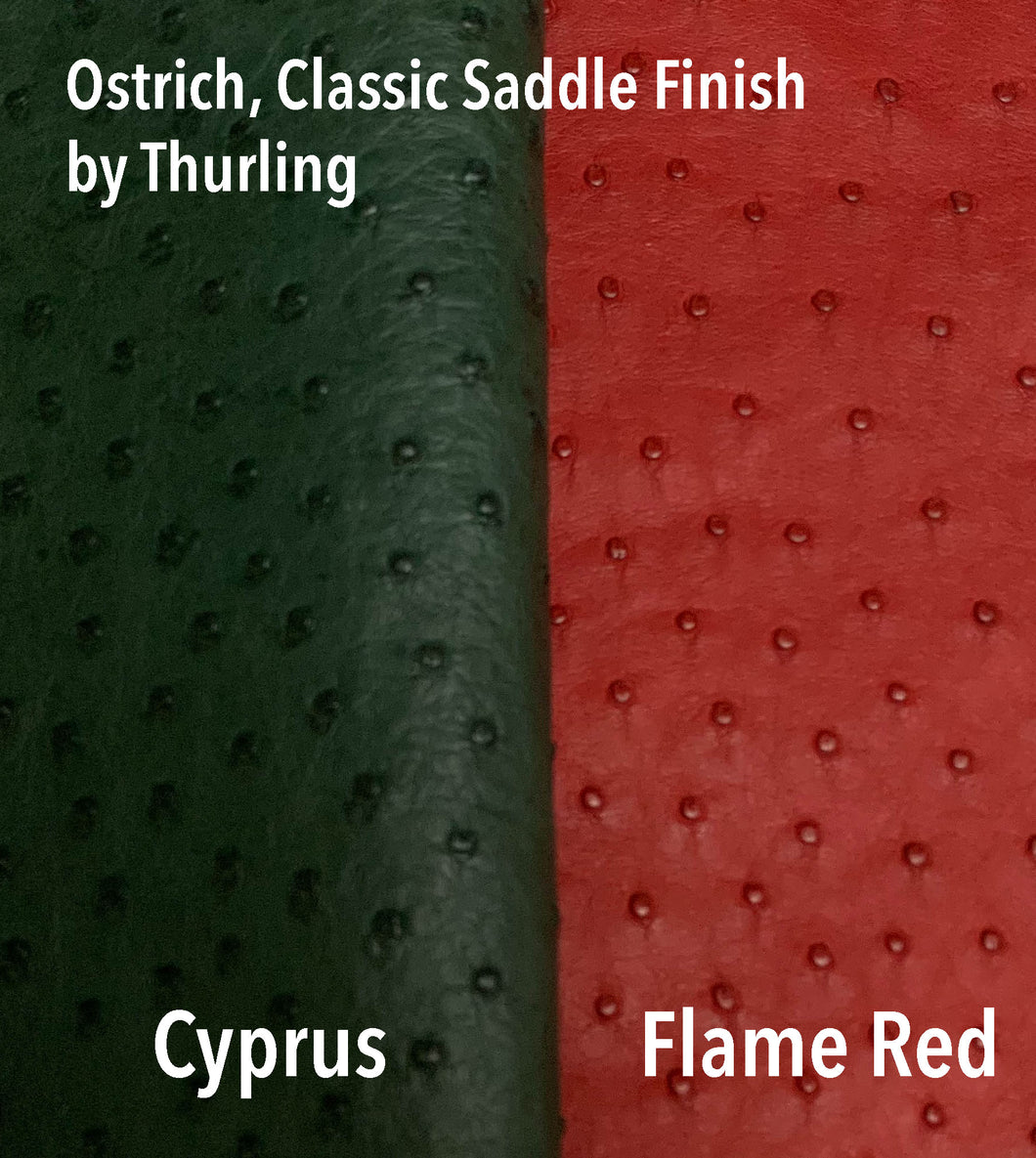 Ostrich Classic Saddle Finish FLAME RED