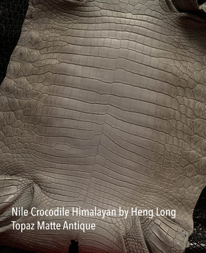 Nile Crocodile Skin Belly Matte Navy
