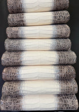 Load image into Gallery viewer, Crocodile Nile Natural Himalayan Millennium Semi Lucido by G.P.P.
