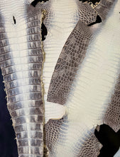 Load image into Gallery viewer, Crocodile Nile Natural Himalayan Millennium Semi Lucido by G.P.P.
