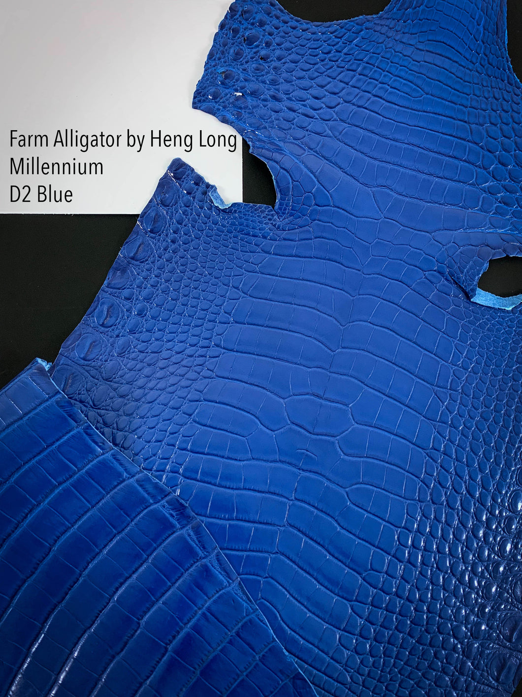 Farm Alligator Millennium Finish D2 Blue
