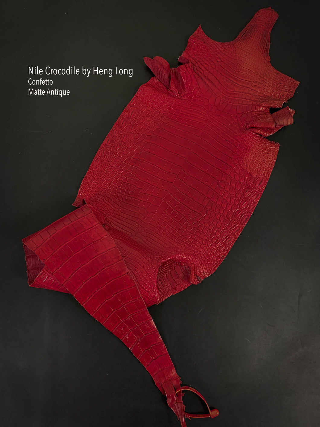 Nile Crocodile Antique Matte Finish Confetto Red