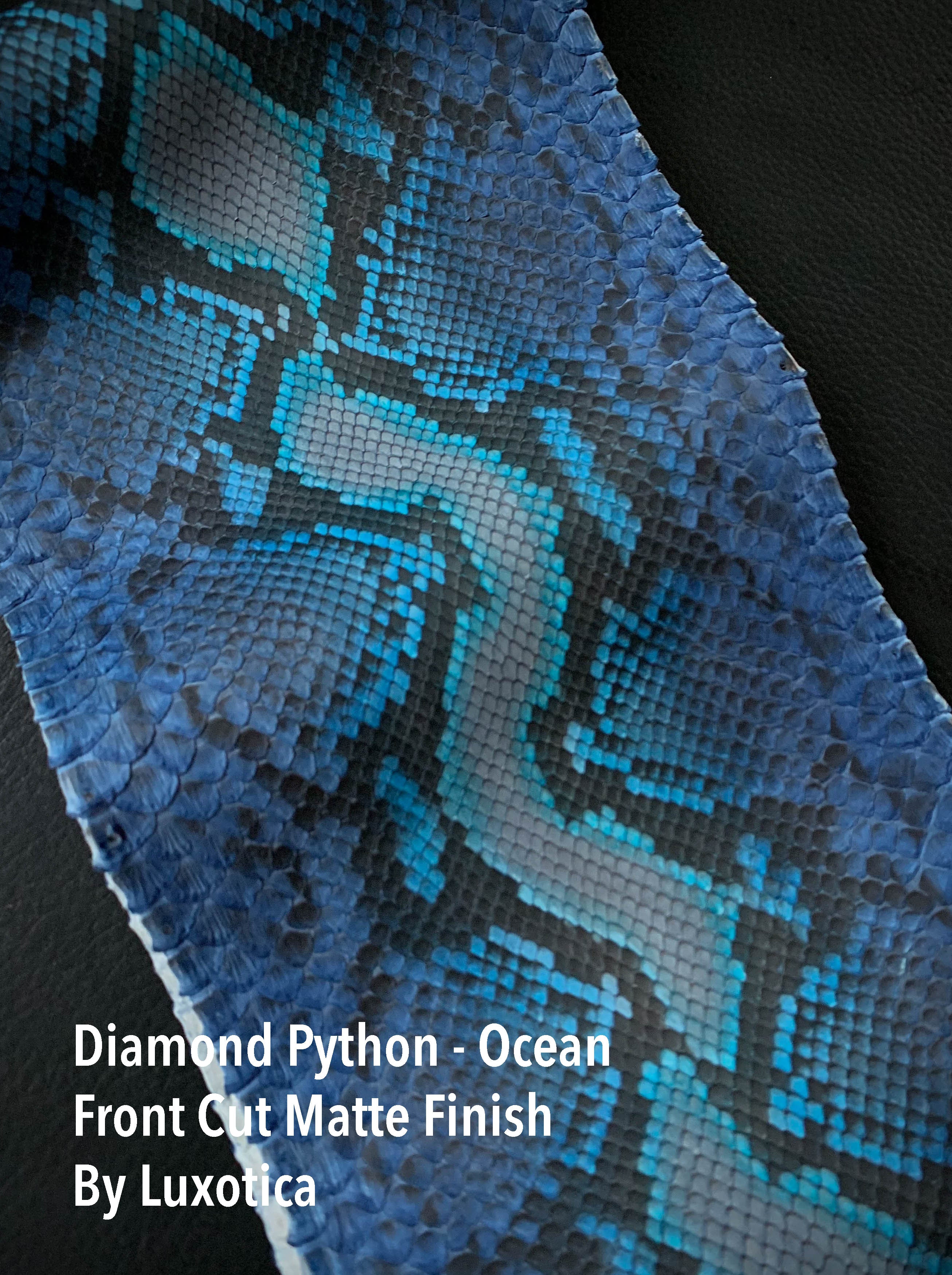 Python Front Cut Matte Ocean Fantasy – Hardtke Leather Co.