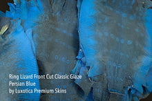 Load image into Gallery viewer, Ring Lizard Front Cut with Markings Soft Classic Glazed Persian Blue
