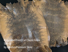 Load image into Gallery viewer, Ring Lizard Front Cut with Markings Soft Classic Glazed Tannin

