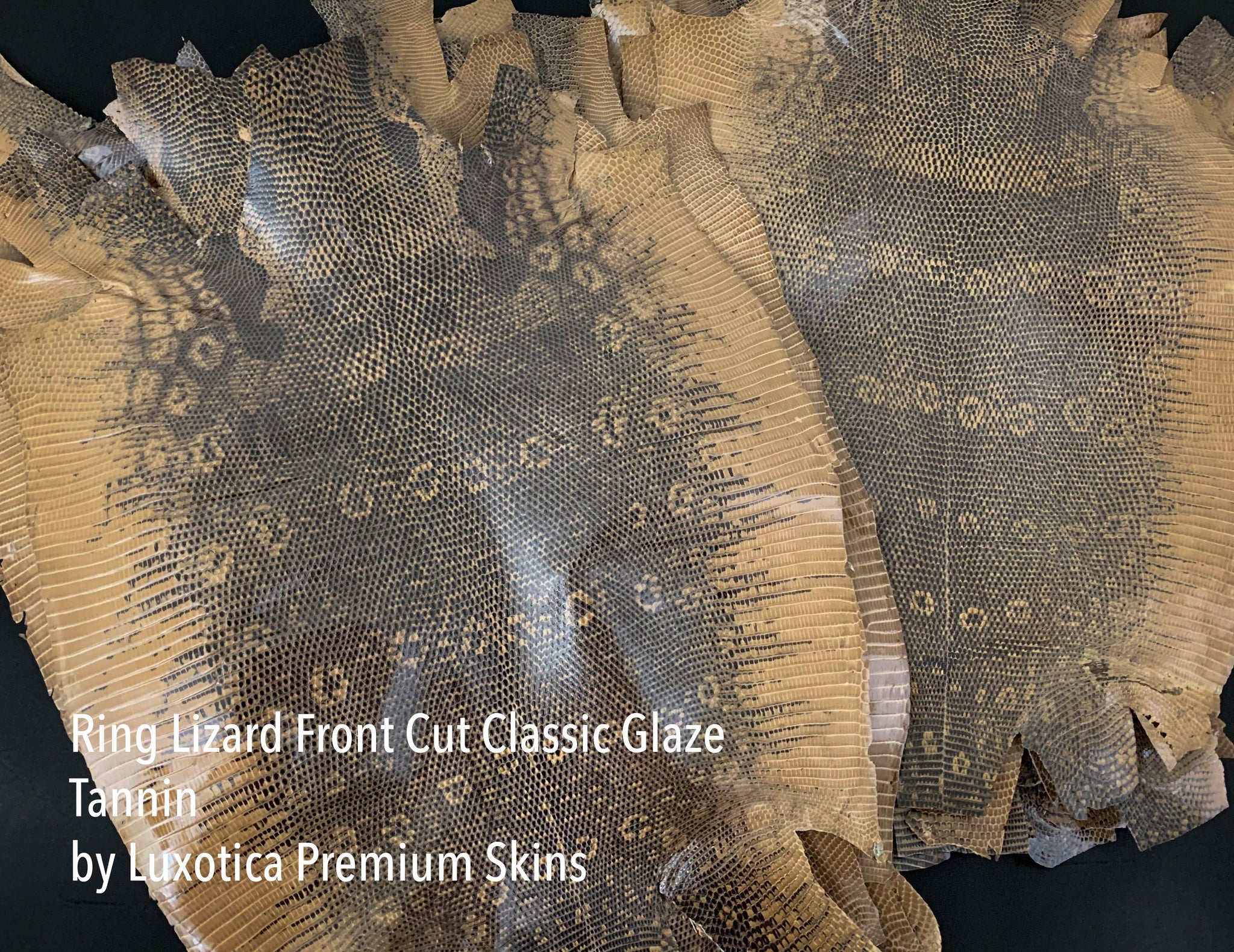 Online Lizard Skin Leather | Orange | Glazed Finish | Front Cut