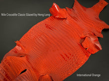Load image into Gallery viewer, Nile Crocodile Classic Glazed International Orange
