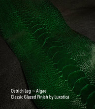 Load image into Gallery viewer, Ostrich Leg Classic Glazed by Luxotica - Colors
