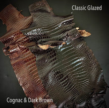Load image into Gallery viewer, Wild Alligator Belly Classic Glazed Dark Brown 40 ~ 43cm Grade 4
