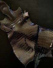 Load image into Gallery viewer, Wild Alligator Belly Classic Glazed Dark Brown 40 ~ 43cm Grade 4
